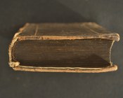 CAVICEO IACOPO, Il peregrino