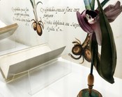 Atrio dell'Aula Magna della Biblioteca Universitaria di Bologna: allestimento espositivo della mostra Scienza & bellezza