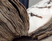 Atrio dell'Aula Magna della Biblioteca Universitaria di Bologna: allestimento espositivo della mostra Scienza & bellezza