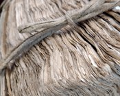 Atrio dell'Aula Magna della Biblioteca Universitaria di Bologna: allestimento espositivo della mostra Scienza & bellezza