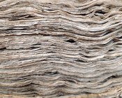 Atrio dell'Aula Magna della Biblioteca Universitaria di Bologna: allestimento espositivo della mostra Scienza & bellezza