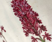 Atrio dell'Aula Magna della Biblioteca Universitaria di Bologna: allestimento espositivo della mostra Scienza & bellezza