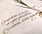 Atrio dell'Aula Magna della Biblioteca Universitaria di Bologna: allestimento espositivo della mostra Scienza & bellezza