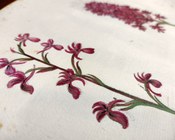 Atrio dell'Aula Magna della Biblioteca Universitaria di Bologna: allestimento espositivo della mostra Scienza & bellezza