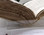 Atrio dell'Aula Magna della Biblioteca Universitaria di Bologna: allestimento espositivo della mostra Scienza & bellezza