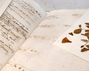 Atrio dell'Aula Magna della Biblioteca Universitaria di Bologna: allestimento espositivo della mostra Scienza & bellezza