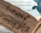 Atrio dell'Aula Magna della Biblioteca Universitaria di Bologna: allestimento espositivo della mostra Scienza & bellezza