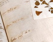 Atrio dell'Aula Magna della Biblioteca Universitaria di Bologna: allestimento espositivo della mostra Scienza & bellezza