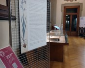Atrio dell'Aula Magna della Biblioteca Universitaria di Bologna: allestimento espositivo della mostra Scienza & bellezza