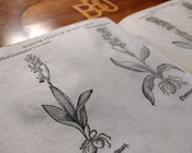 Aula Magna della Biblioteca Universitaria di Bologna: allestimento espositivo della mostra Scienza & bellezza