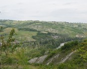 Macchie arbustive e boschive di latifoglie intervallate da prati e pascoli. Valle del fiume Panaro, Appennino modenese.