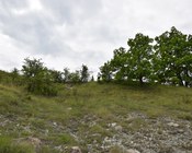 Inizio di zona di transizione fra prati secchi seminaturali e aree con cespugli e arbusti e macchie boschive di latifoglie, Appennino modenese.