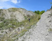 Prati secchi seminaturali e aree con cespugli e arbusti su terreno calcareo, Appennino modenese. Malgrado l’apparente aridità e scarsità di vegetazione, questi habitat mostrano una notevole presenza di orchidee.