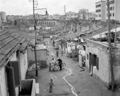 Baracche all'acquedotto Alessandrino. Roma, 1.9.1956