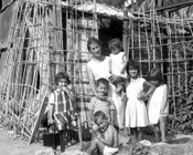 Famiglia rischia lo sfratto da una baracca in viale Trastevere. Roma, 12.7.1966